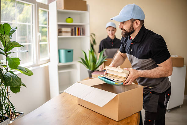 Servicio de Mudanzas en Molins de Rei